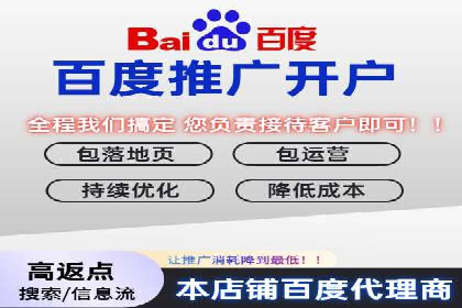 百度SEM与竞价排名策略的深度结合案例